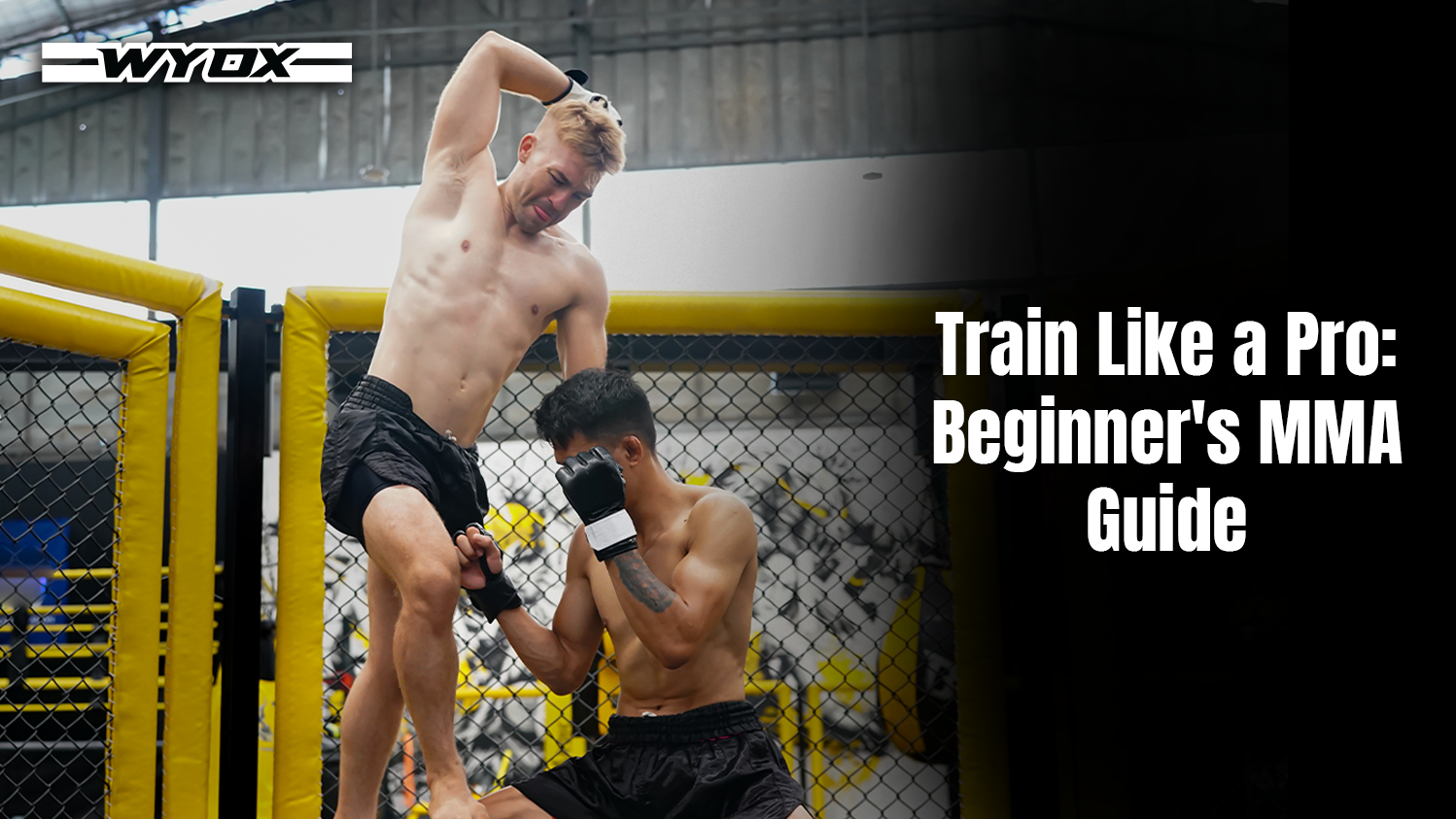 MMA Training 101 for Newcomers