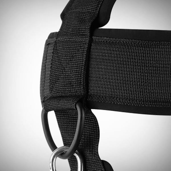 HEADHARNESS