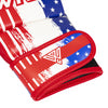 Combat Sports MMA Gloves - USA